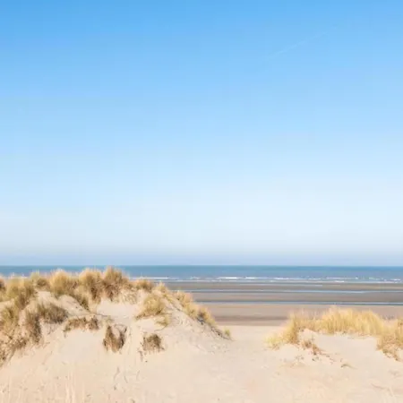 Near Belgian Coast With Garden *