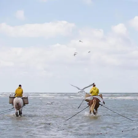 Near Belgian Coast With Garden Сasa de vacaciones *