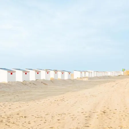 Near Belgian Coast With Garden *