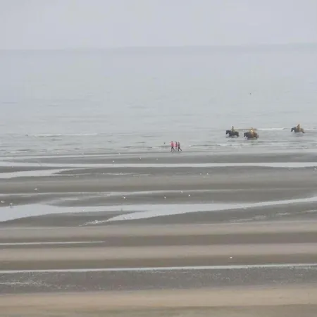 Near Belgian Coast With Garden Oostduinkerke